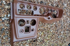 Later-Terra-Brown-raptor-dashboard