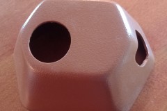 Fawn Brown Raptor
